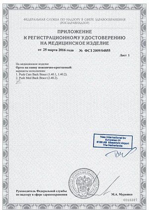 Футболка позвоночник с ребрами